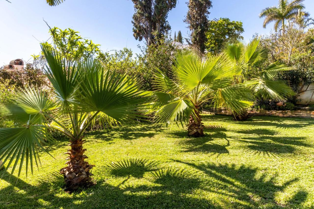 Villa Echium T1 카니코 외부 사진