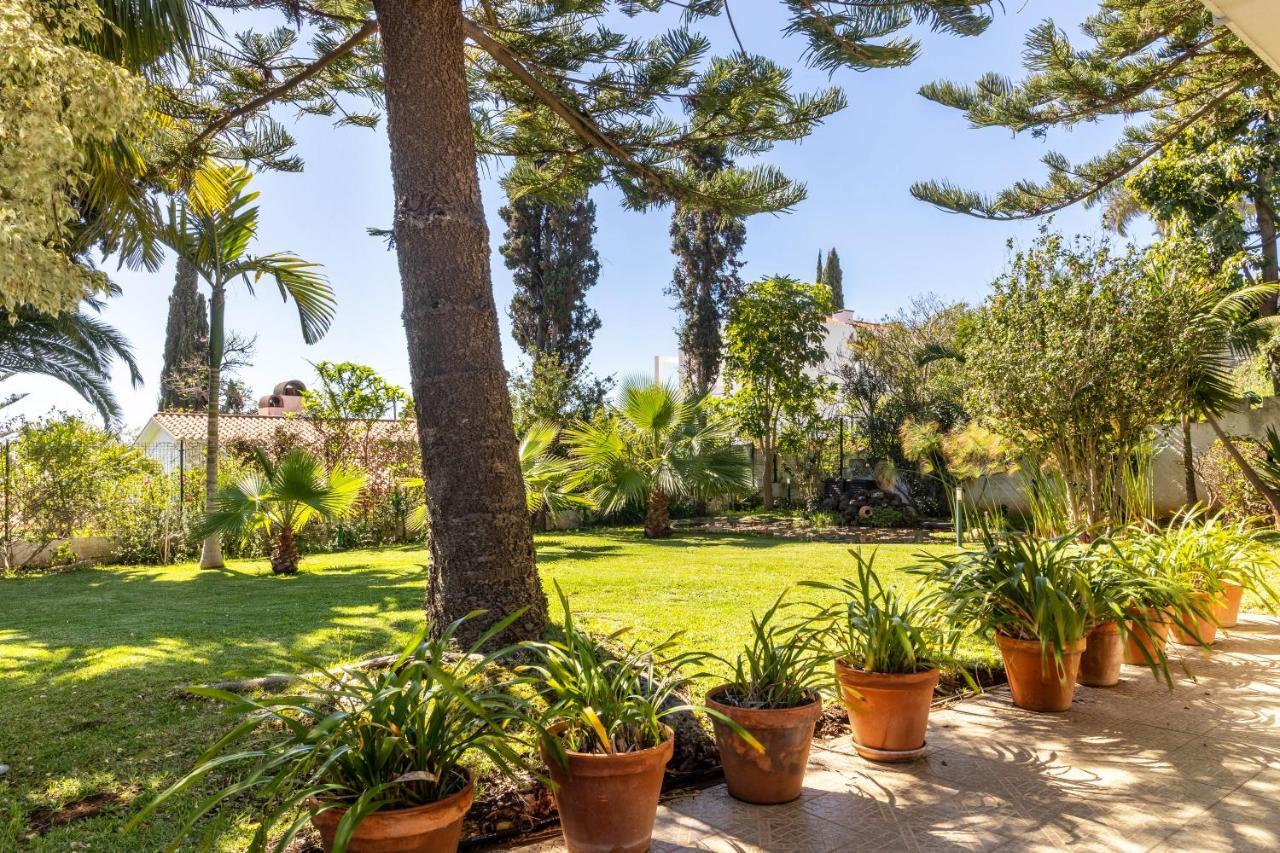 Villa Echium T1 카니코 외부 사진